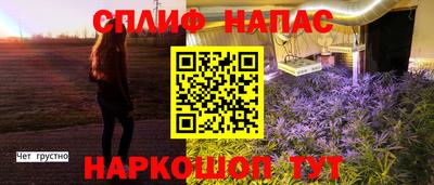 МДПВ Апрелевка