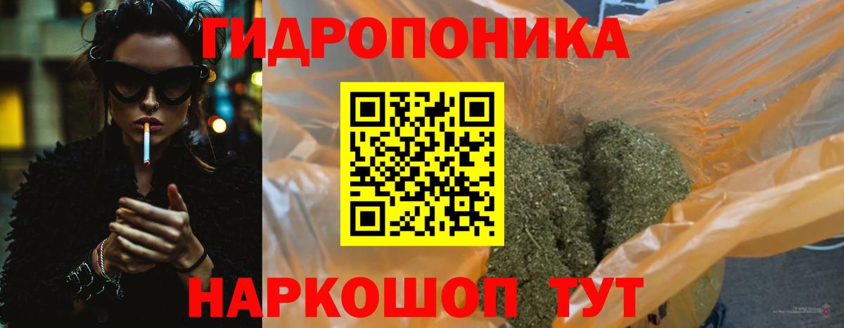 Бошки марихуана марихуана Вольск